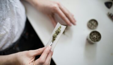 cannabis