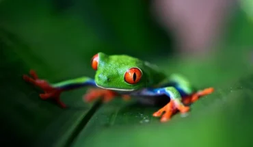 costa rica one week itinerary