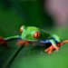 costa rica one week itinerary