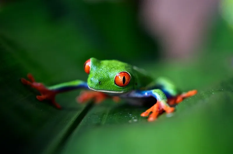 Costa Rica One Week Itinerary